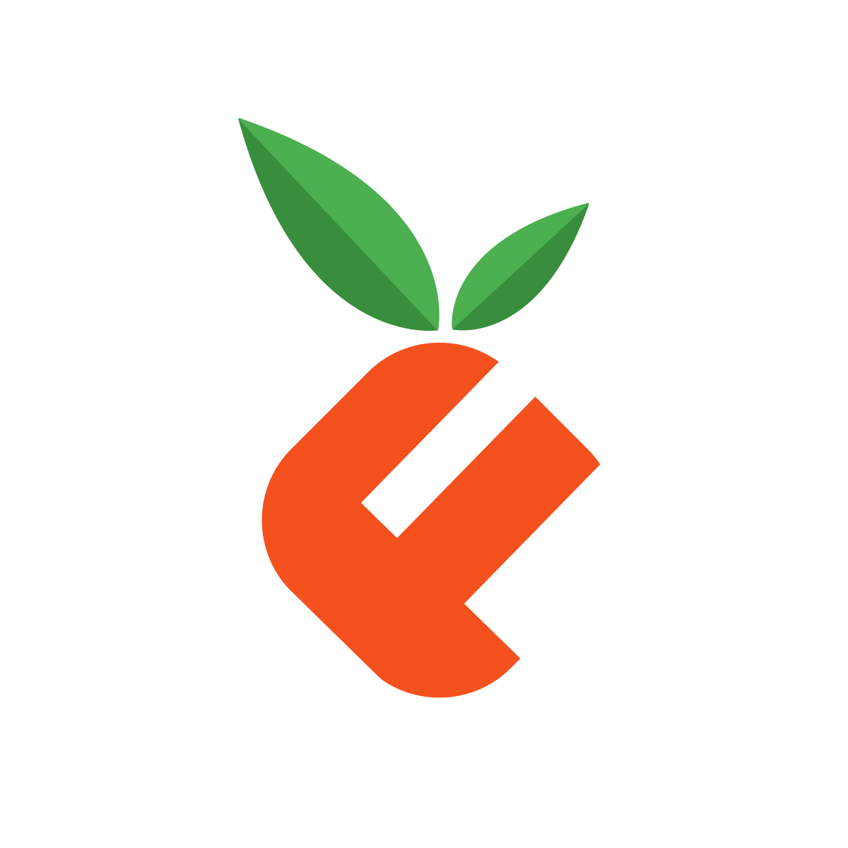Flavour Focused